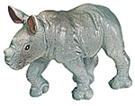 Rhino baby.jpg